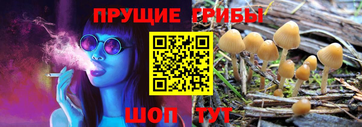 Галлюциногенные грибы прущие грибы Зеленокумск